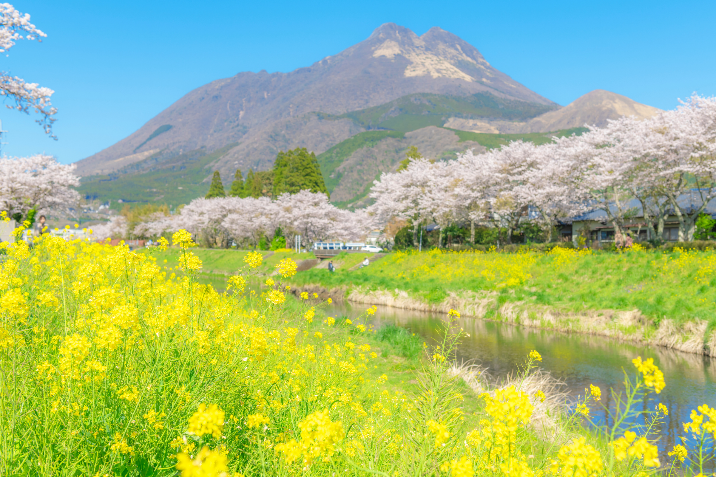 Yufuin[1].webp